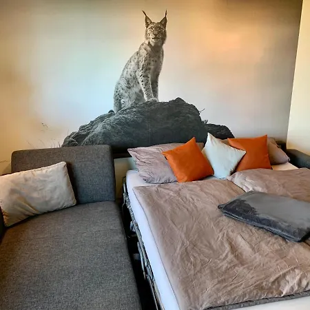 Luchsbutze Apartmán Sankt Andreasberg