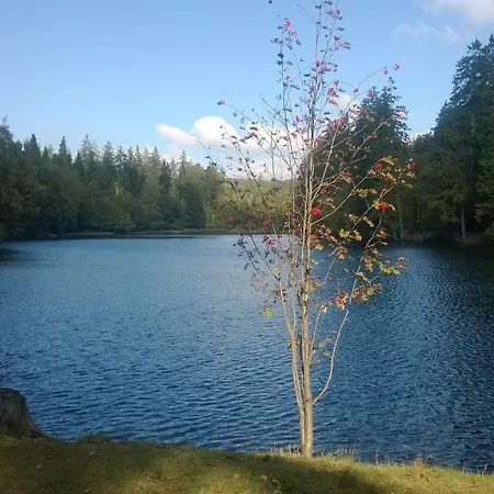 Luchsbutze Sankt Andreasberg