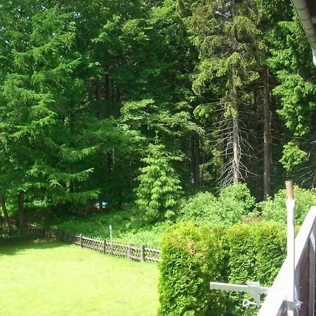 Luchsbutze * Sankt Andreasberg