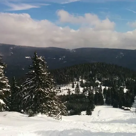 Apartmán Luchsbutze *