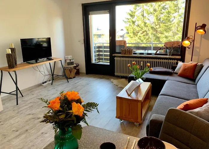 Luchsbutze Appartement