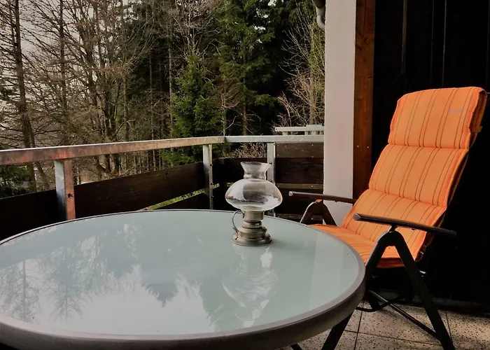 Appartement Luchsbutze Sankt-Andreasberg