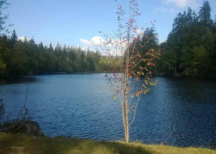 Luchsbutze Sankt-Andreasberg