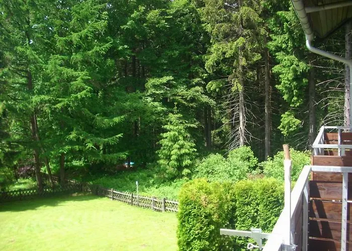 Luchsbutze * Sankt-Andreasberg