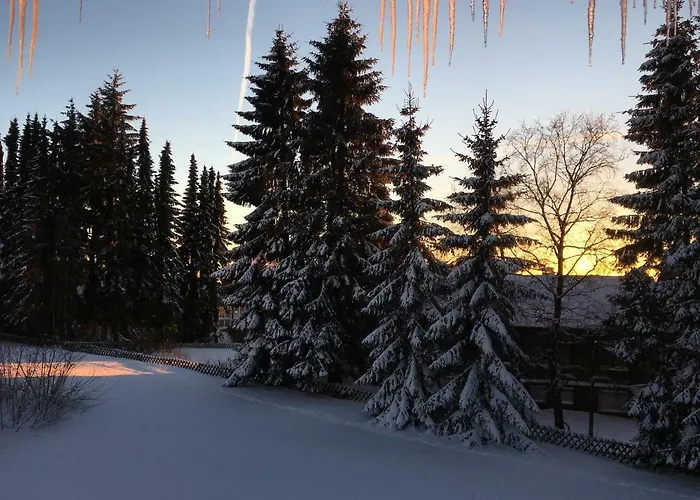 Luchsbutze Appartement