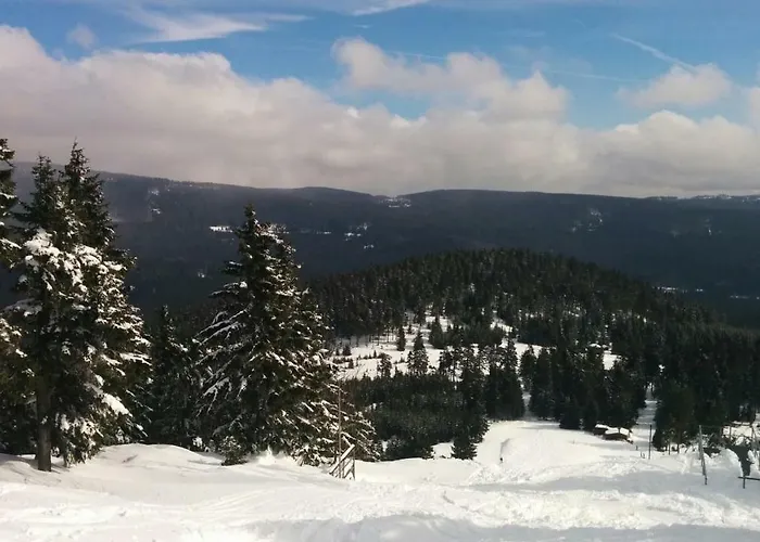 Appartement Luchsbutze *